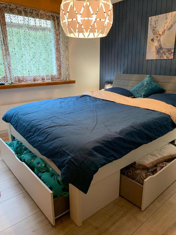 Apartmán Roc D'Orsay E48 Leysin Exteriér fotografie